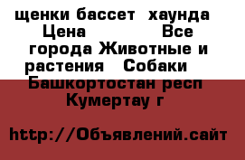 щенки бассет- хаунда › Цена ­ 20 000 - Все города Животные и растения » Собаки   . Башкортостан респ.,Кумертау г.